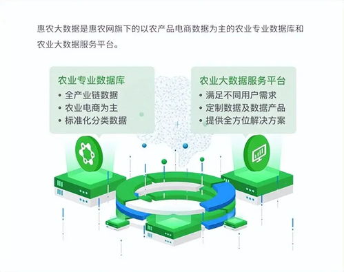 惠農網 數字化產業服務十年助農路，從追趕到超越的數字內容賦能之旅